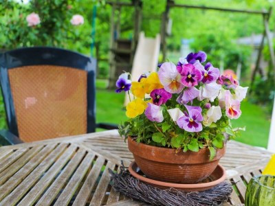 Holiday house VZ736 Vakantiehuis Ellewoutsdijk - Outdoor photo 17