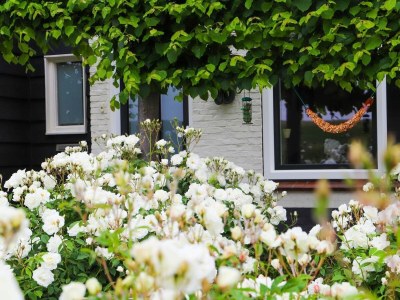 Holiday house VZ736 Vakantiehuis Ellewoutsdijk - Outdoor photo 19