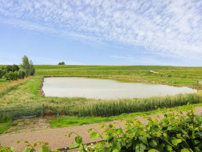 Holiday house VZ736 Vakantiehuis Ellewoutsdijk - Outdoor photo 39