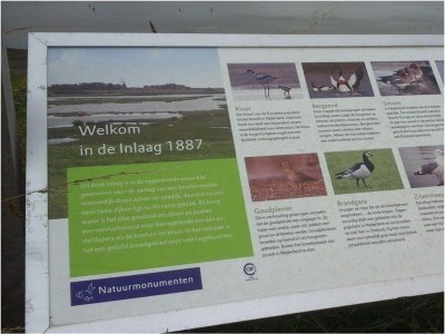 Holiday house VZ736 Vakantiehuis Ellewoutsdijk - Outdoor photo 43