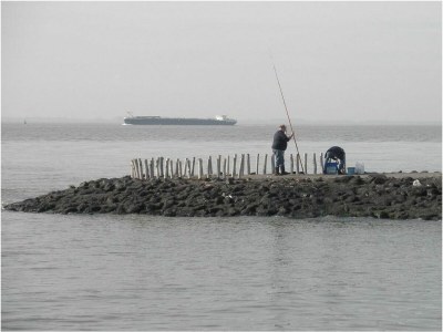 Holiday house VZ736 Vakantiehuis Ellewoutsdijk - Outdoor photo 44