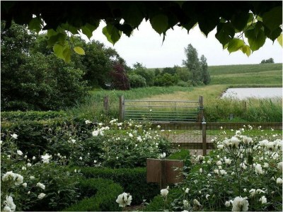 Holiday house VZ736 Vakantiehuis Ellewoutsdijk - Outdoor photo 47