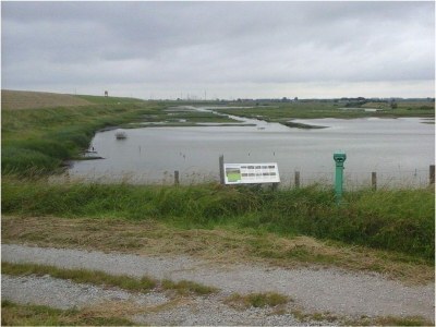 Holiday house VZ736 Vakantiehuis Ellewoutsdijk - Outdoor photo 49