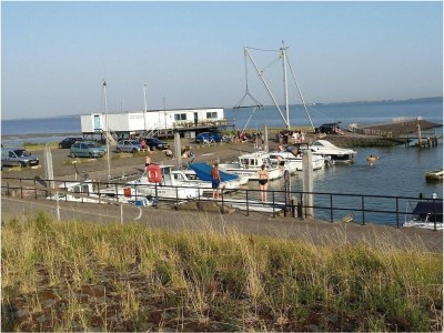 Holiday house VZ736 Vakantiehuis Ellewoutsdijk - Outdoor photo 53