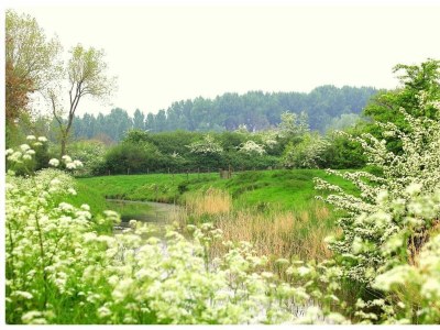 Holiday house VZ736 Vakantiehuis Ellewoutsdijk - Outdoor photo 54