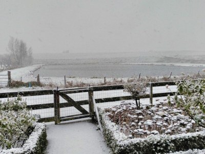 Holiday house VZ736 Vakantiehuis Ellewoutsdijk - Outdoor photo 56