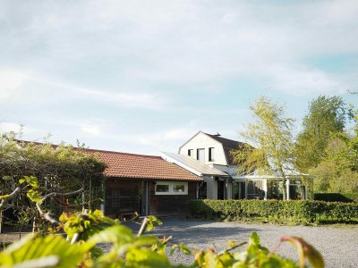 Holiday house VZ741 Vakantiehuis Sluis - Outdoor photo 34