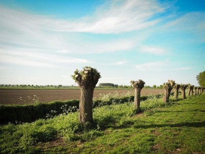 Holiday house VZ741 Vakantiehuis Sluis - Outdoor photo 38