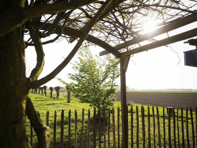 Holiday house VZ741 Vakantiehuis Sluis - Outdoor photo 41