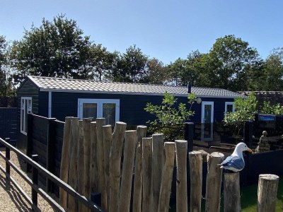 Chalet VZ809 Vakantiechalet Renesse - Outdoor photo 14