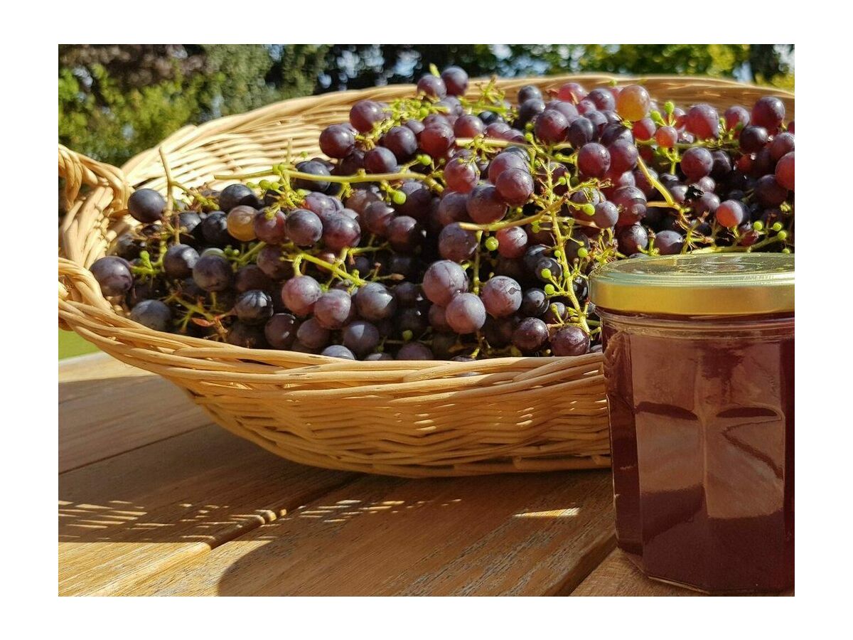 Holiday house VZ891 Vakantiehuis in Renesse - Outdoor photo 5