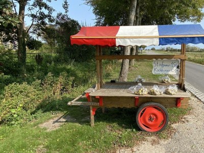 Holiday house VZ891 Vakantiehuis in Renesse - Outdoor photo 31