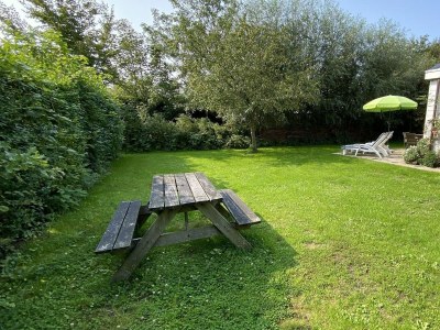 Holiday house VZ891 Vakantiehuis in Renesse - Outdoor photo 36