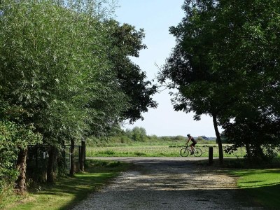 Holiday house VZ891 Vakantiehuis in Renesse - Outdoor photo 37