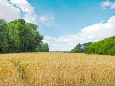 Holiday house VZ130 Groepsaccommodatie Westkapelle - Outdoor photo 16