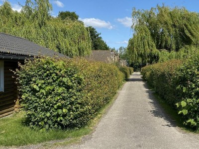 Chalet VZ455 Vakantiechalet Ossenisse - Outdoor photo 31