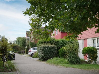 Holiday park Ferienhaus in Zeeland mit großem Garten - Environment photo 25