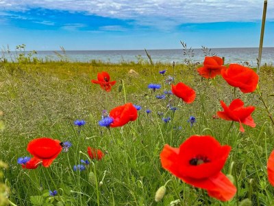 Holiday house 14 person holiday home in Sjællands Odde - Outdoor photo 25