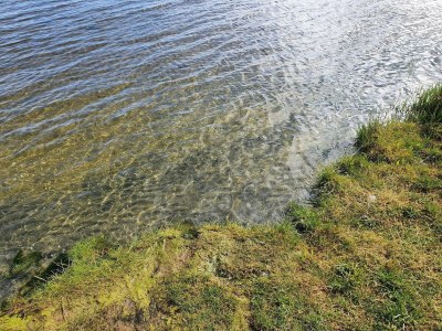 Holiday house 6 Personen Ferienhaus in Ørsted - Outdoor photo 7