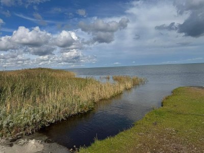 Holiday house 6 Personen Ferienhaus in Ørsted - Outdoor photo 11