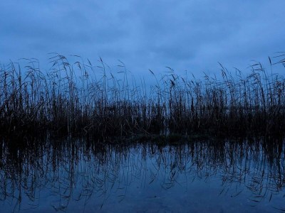 Holiday house Geraumiger Familienruckzug -- By Traum Ferienwohnungen - Outdoor photo 44