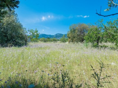Villa Ca Na Sioneta - Ferienhaus Mit Privatem Pool - Environment photo 40