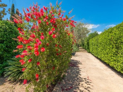 Villa Ca Na Sioneta - Ferienhaus Mit Privatem Pool - Environment photo 41