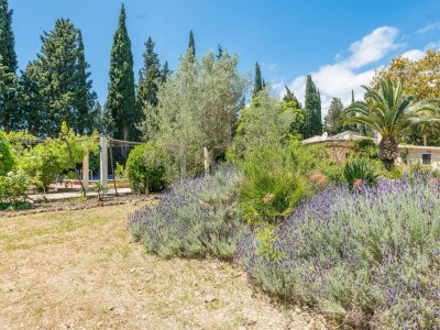 Villa Ca Na Sioneta - Ferienhaus Mit Privatem Pool - Environment photo 42