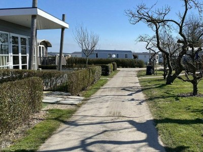 Chalet VZ1147 Vakantiechalet in Oostkapelle - Outdoor photo 23