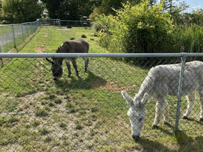 Chalet VZ095 Chalet Ossenisse - Outdoor photo 35