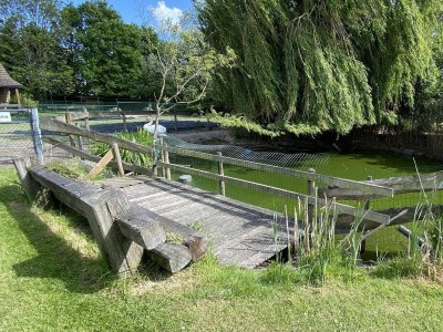 Chalet VZ456 Vakantiechalet Ossenisse - Outdoor photo 33