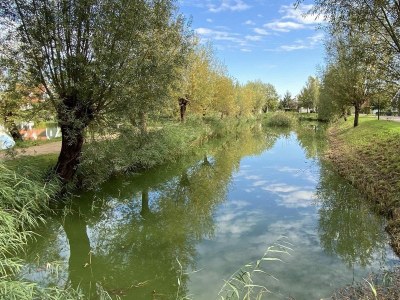 Holiday house VZ217 Vakantiehuis Bruinisse - Outdoor photo 44