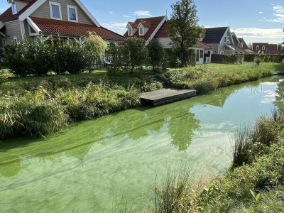 Holiday house VZ217 Vakantiehuis Bruinisse - Outdoor photo 45