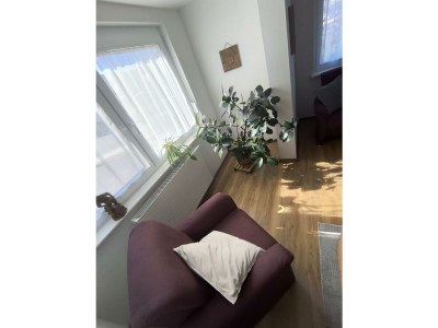 Apartment Ferienwohnung Schelklewiese - Outdoor photo 13