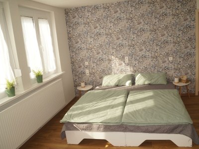 Apartment Ferienwohnung Schelklewiese - Features photo 33