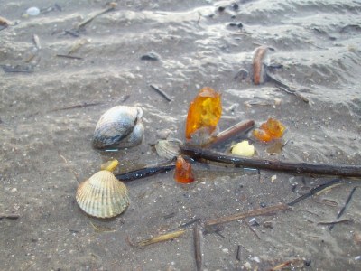 Holiday apartment The morning sun - Outdoor photo 2