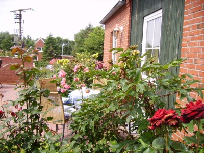 Holiday apartment The morning sun - Outdoor photo 4