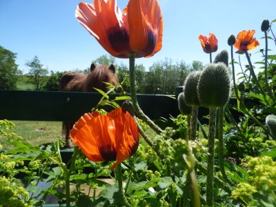 Holiday apartment The morning sun - Outdoor photo 5
