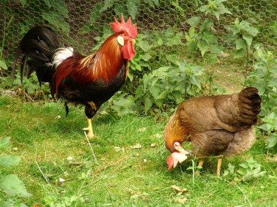 Holiday apartment The morning sun - Outdoor photo 8