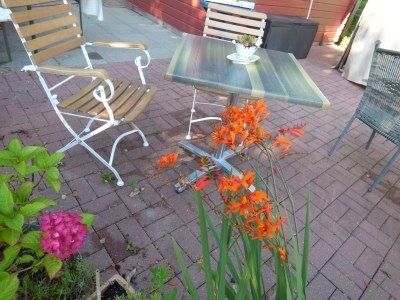 Holiday apartment The morning sun - Features photo 20