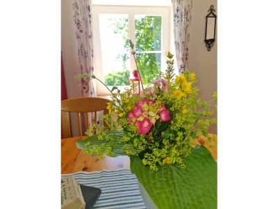 Holiday apartment The morning sun - Features photo 23