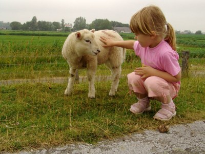 Holiday apartment The morning sun - Environment photo 29