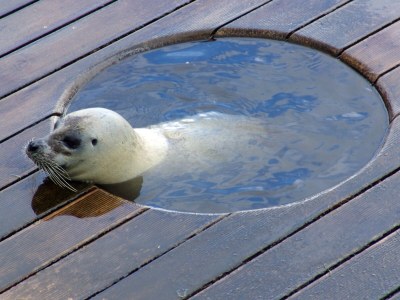 Holiday apartment The morning sun - Environment photo 30