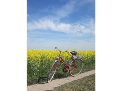 Holiday apartment The morning sun - Environment photo 32