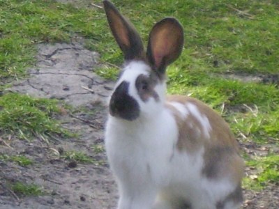 Holiday apartment The morning sun - Environment photo 33