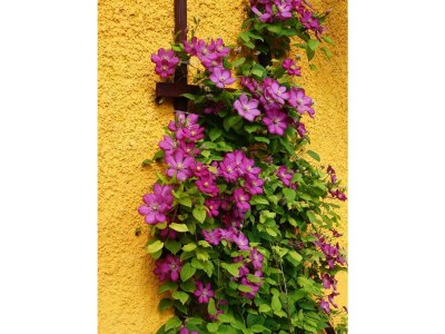 Apartment Ferienwohnung für max. 4 Personen - Outdoor photo 74