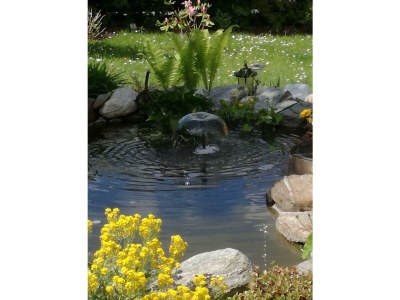 Apartment Ferienwohnung für max. 4 Personen - Features photo 157