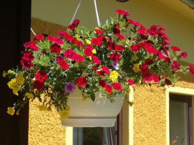 Apartment Ferienwohnung für max. 4 Personen - Features photo 160