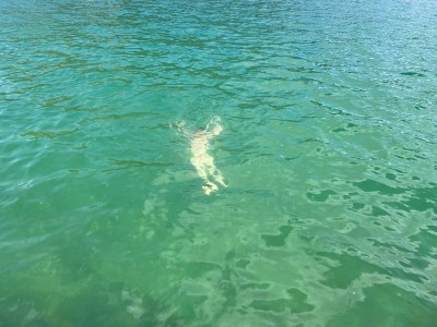 Apartment Ferienhaus mit Seeblick - Outdoor photo 6