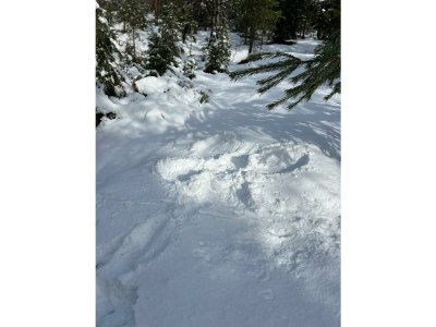 Apartment Ferienhaus mit Seeblick - Outdoor photo 13